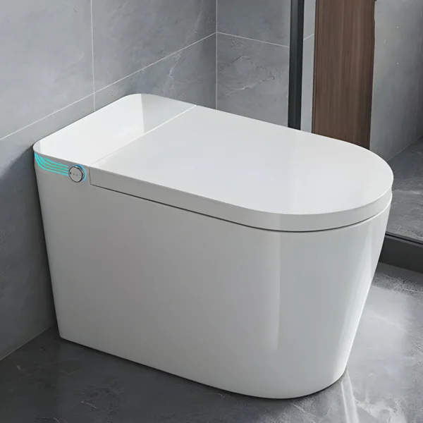 Smart Toilet with Bidet Built In, One Piece Bidet